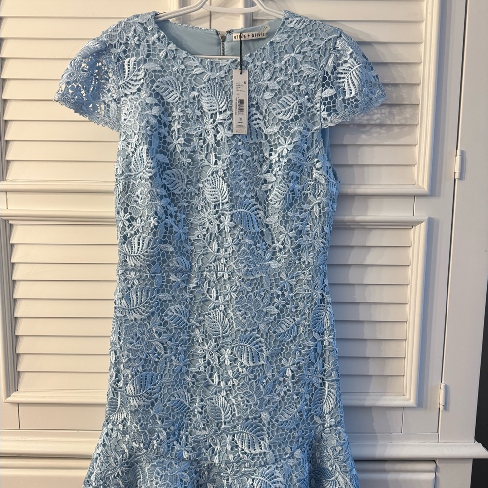 Alice + Olivia Rapunzel Lace Mini Dress Icy Blue  (light blue) NWT Size 10 - Picture 11 of 17
